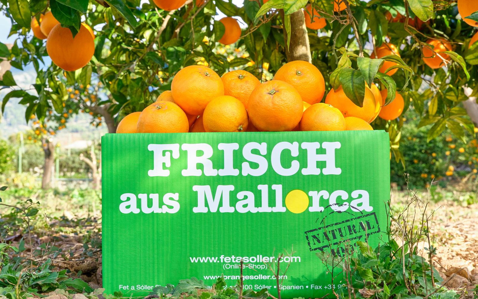 Orangen
